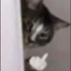 Meet your Posher, Mayanna